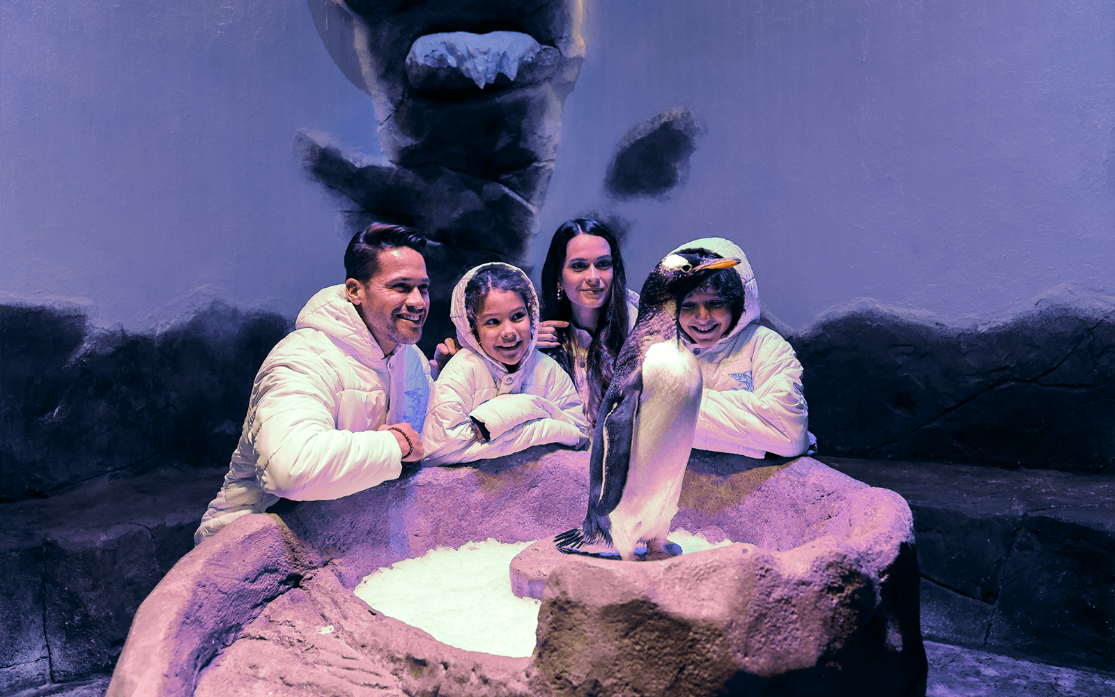 Combo: Tickets to Burj Khalifa At The Top + Dubai Aquarium & Underwater Zoo — gallery 1