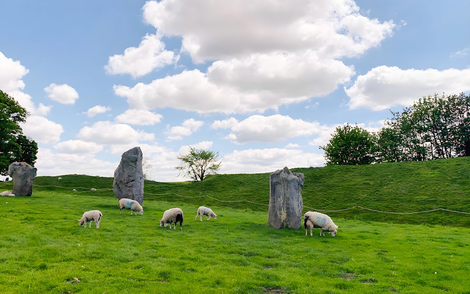From London: Full-Day Guided Tour of Stonehenge & Avebury