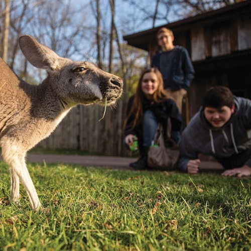 Amnéville Zoo: Eintritt mit Schnelleinlass — gallery 2