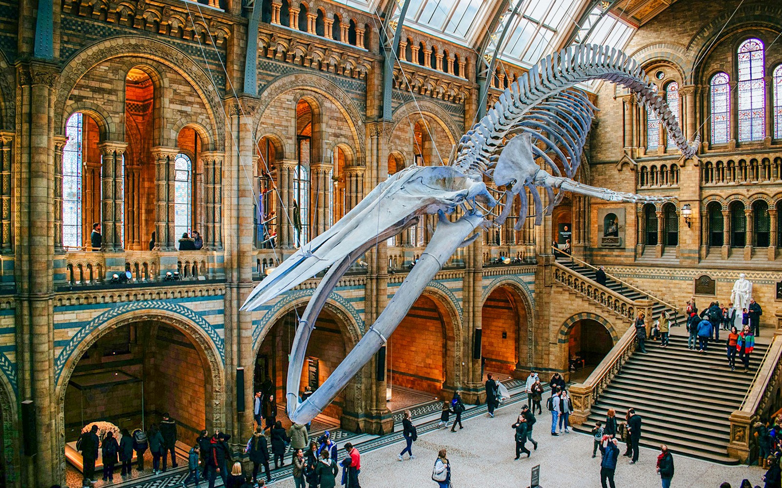 Natural History Museum Reserved Entry Ticket & Audio Tour — main image
