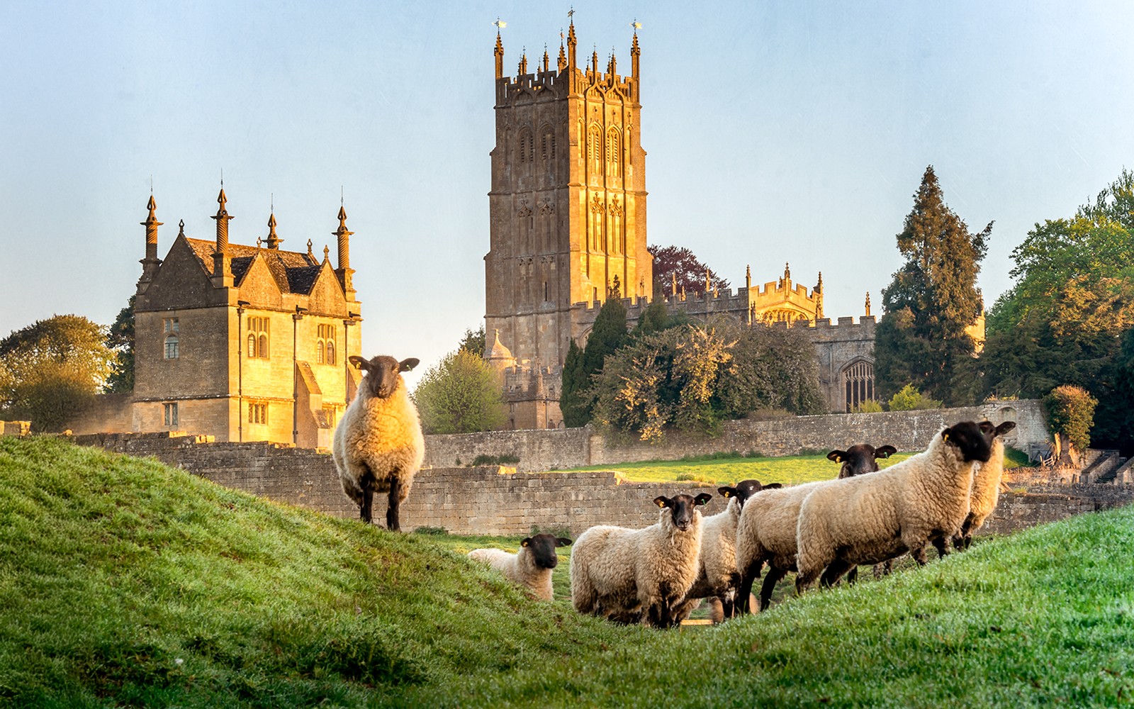 From London: Blenheim Palace, Downton Abbey Village, and Cotswolds Full-Day Trip