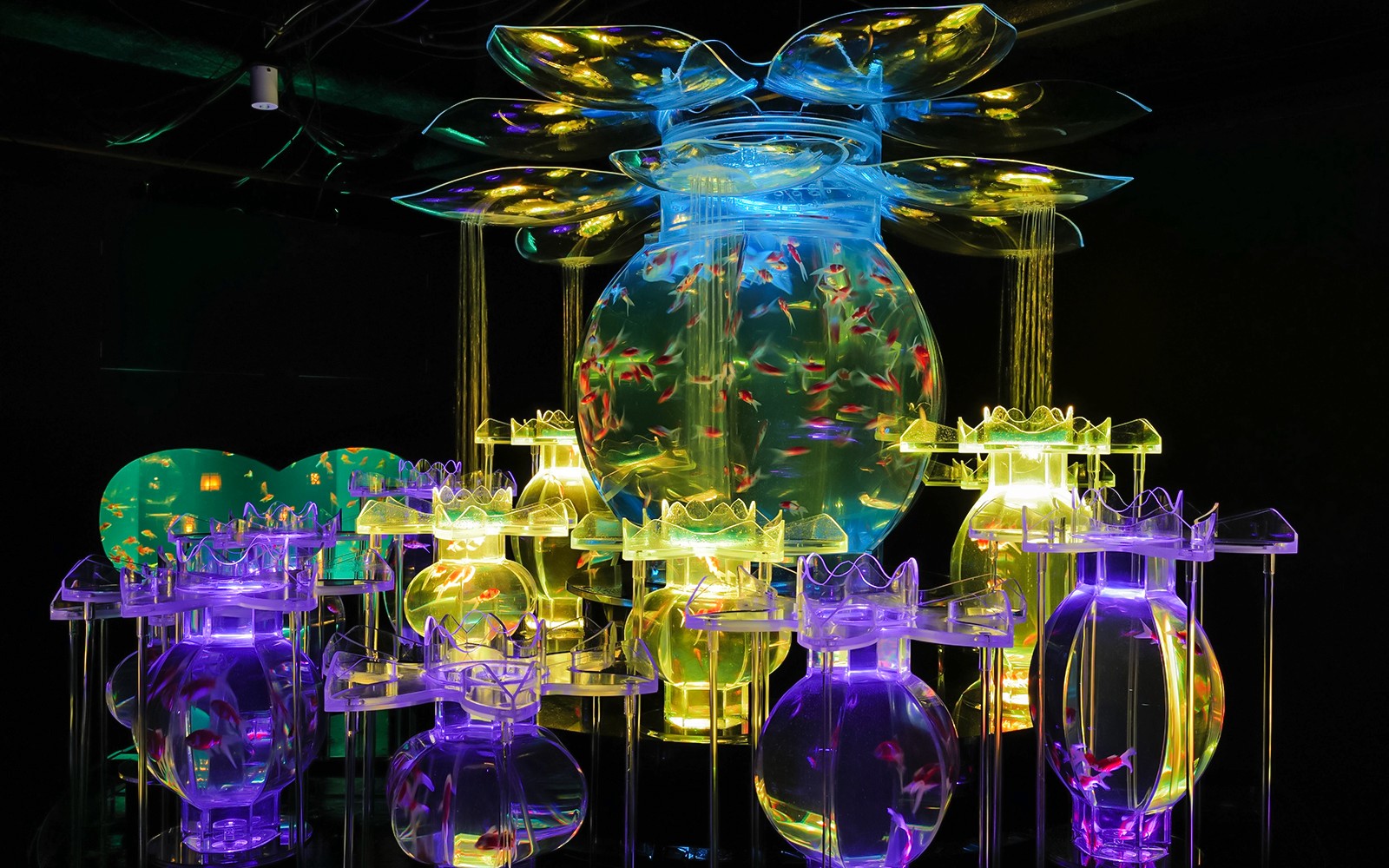 Art Aquarium Museum Ginza Tickets 