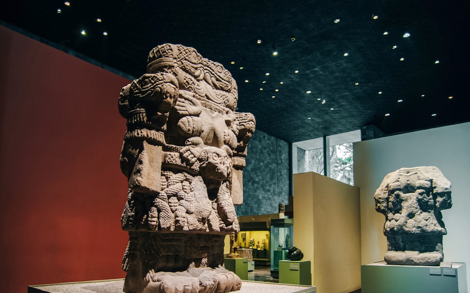 Anthropology Museum Skip-the-Line Tickets