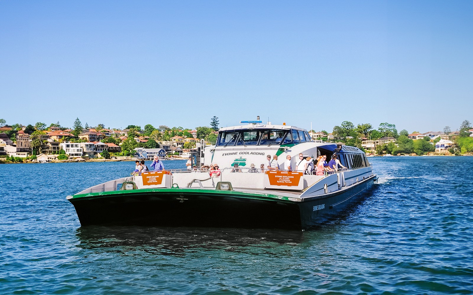 Blue Mountains Tour: Lunch, Scenic World, Sydney Zoo or Featherdale Wildlife Park, Koala Photo & Harbour Ferry Return
