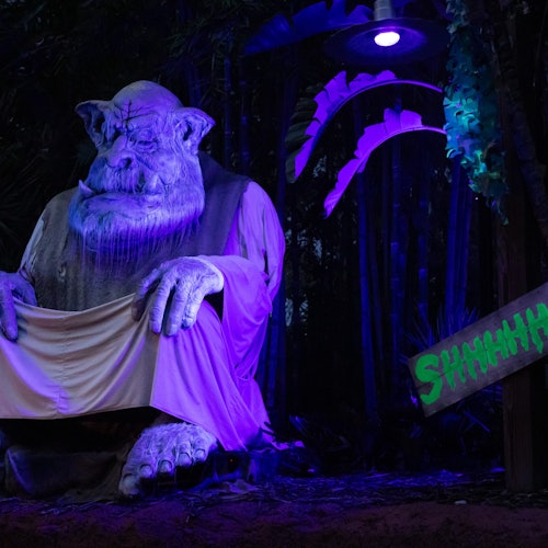 ZooTampa: Creatures of the Night — gallery 2