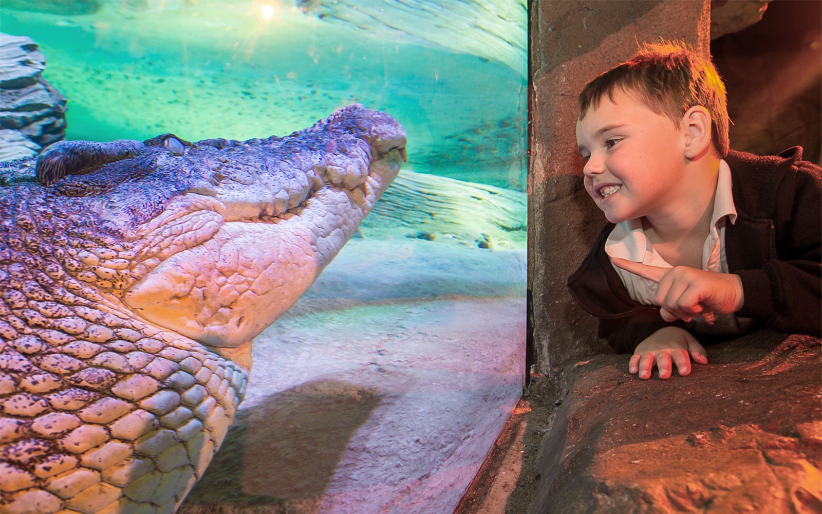SEA LIFE Melbourne Aquarium Tickets