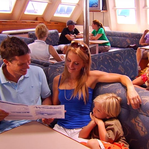 Low Isles: Guided Boat Tour from Port Douglas + Lunch + Snorkelling — gallery 3