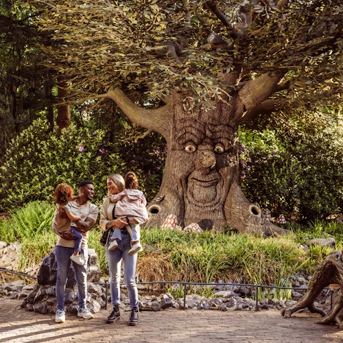 Efteling: Entry Ticket — gallery 4