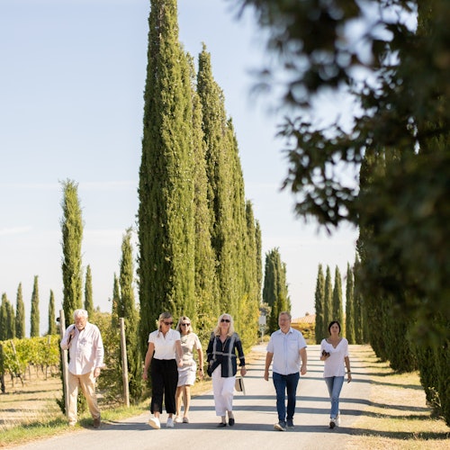 Corte Pavone Winery Estate: Montalcino Wine Tasting + Gourmet Bites