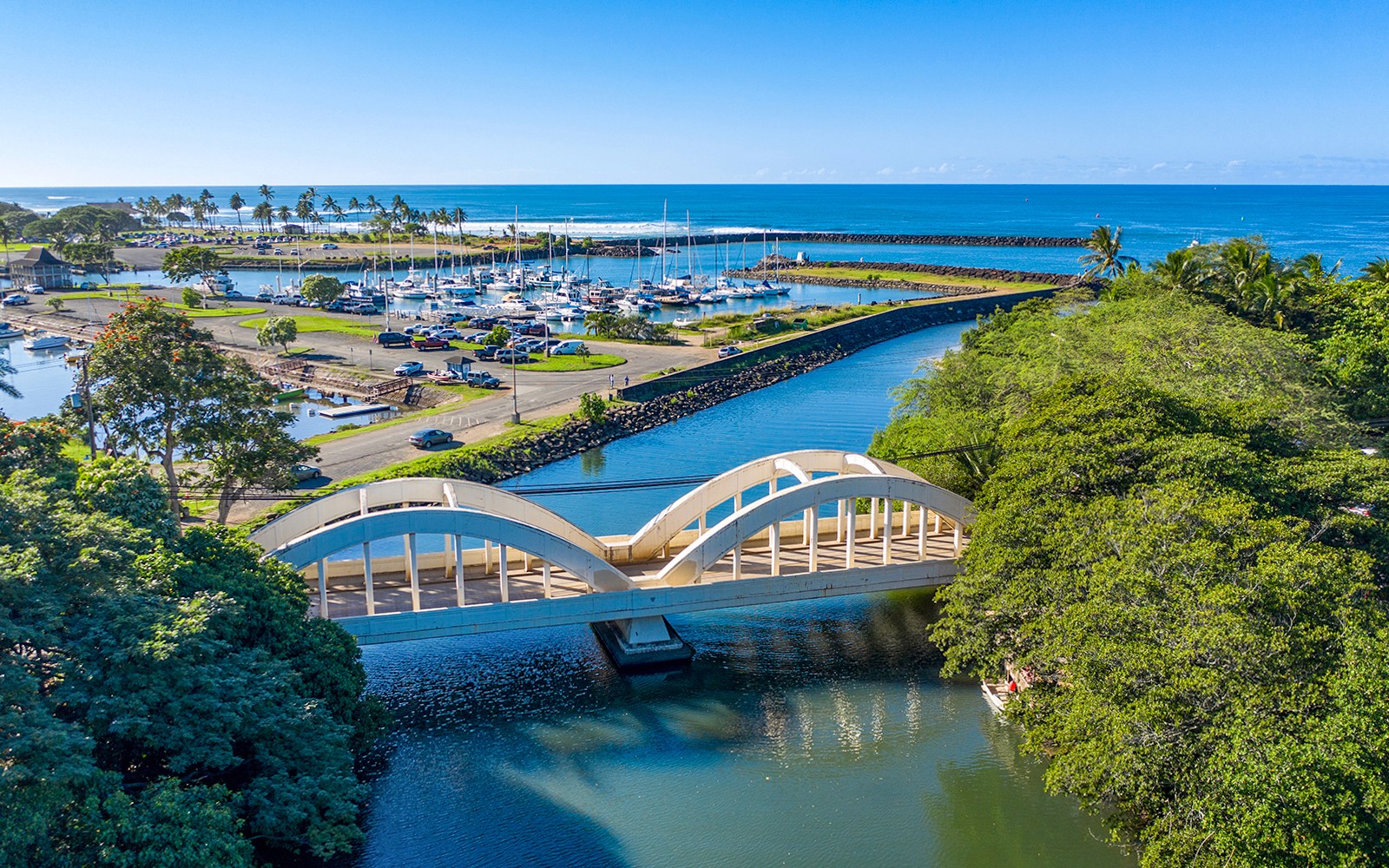 Haleiwa & Dole Plantation Express Half-Day Tour — gallery 5