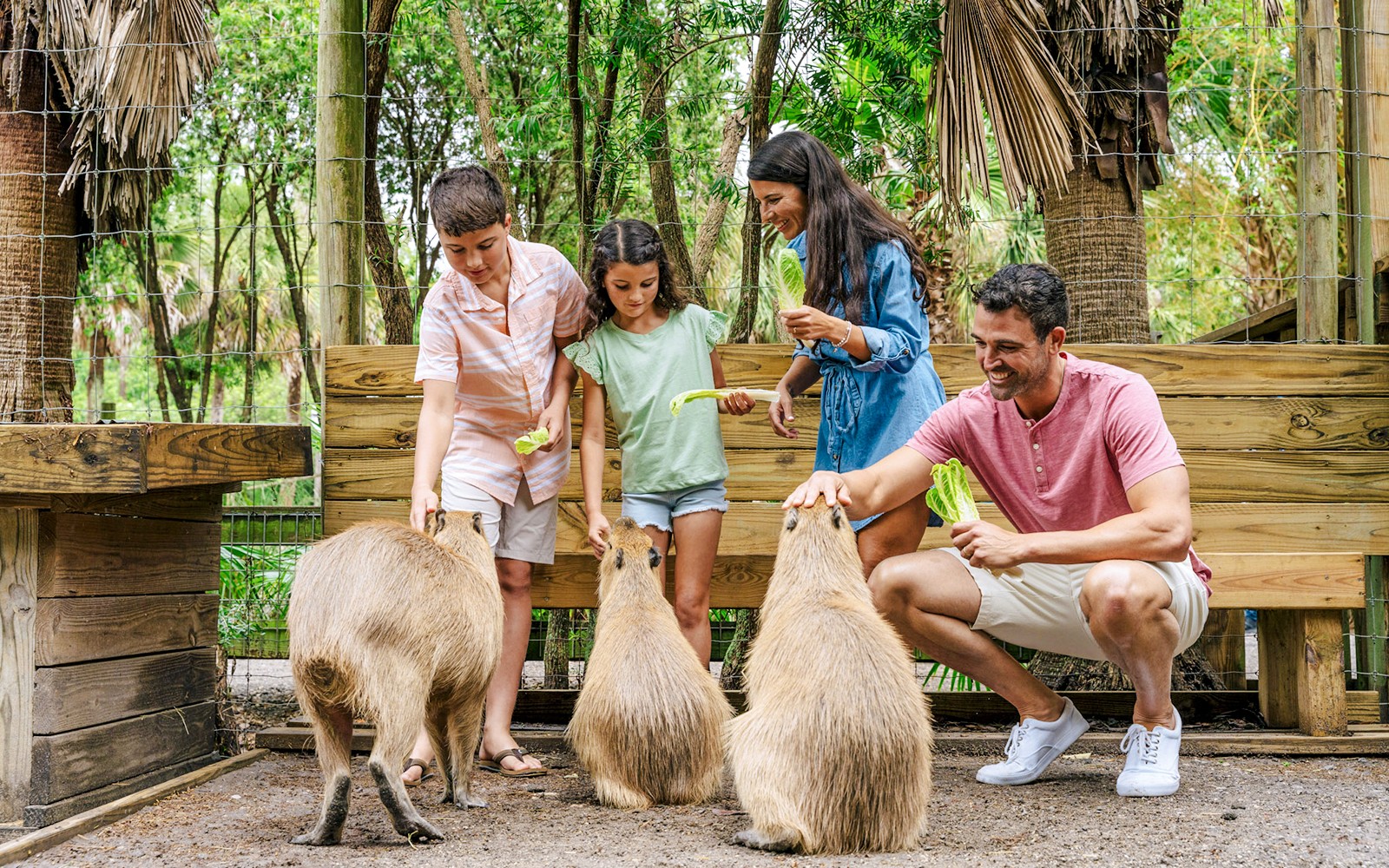 Orlando: Wild Florida Airboat Tour with Gator Park Tickets — gallery 2
