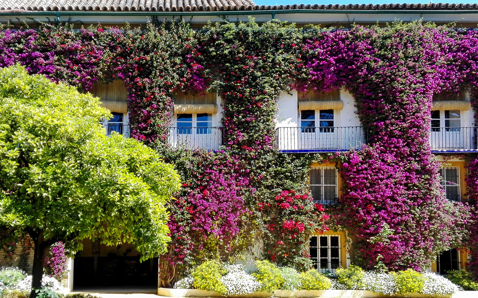 Tickets to Palacio de las Dueñas with Audio Guide — gallery 3