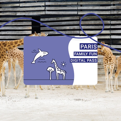 Paris City Cards