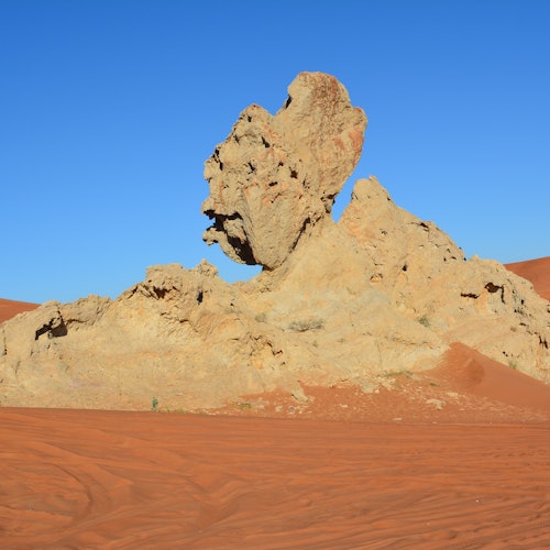Hatta Safari from Dubai: Dam, Heritage Village, Honey Garden & Breakfast — gallery 2