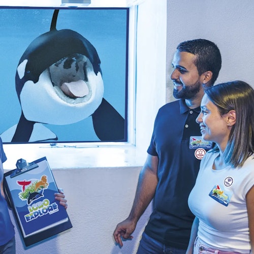 Loro Parque: Entry Ticket + All-Inclusive Pass