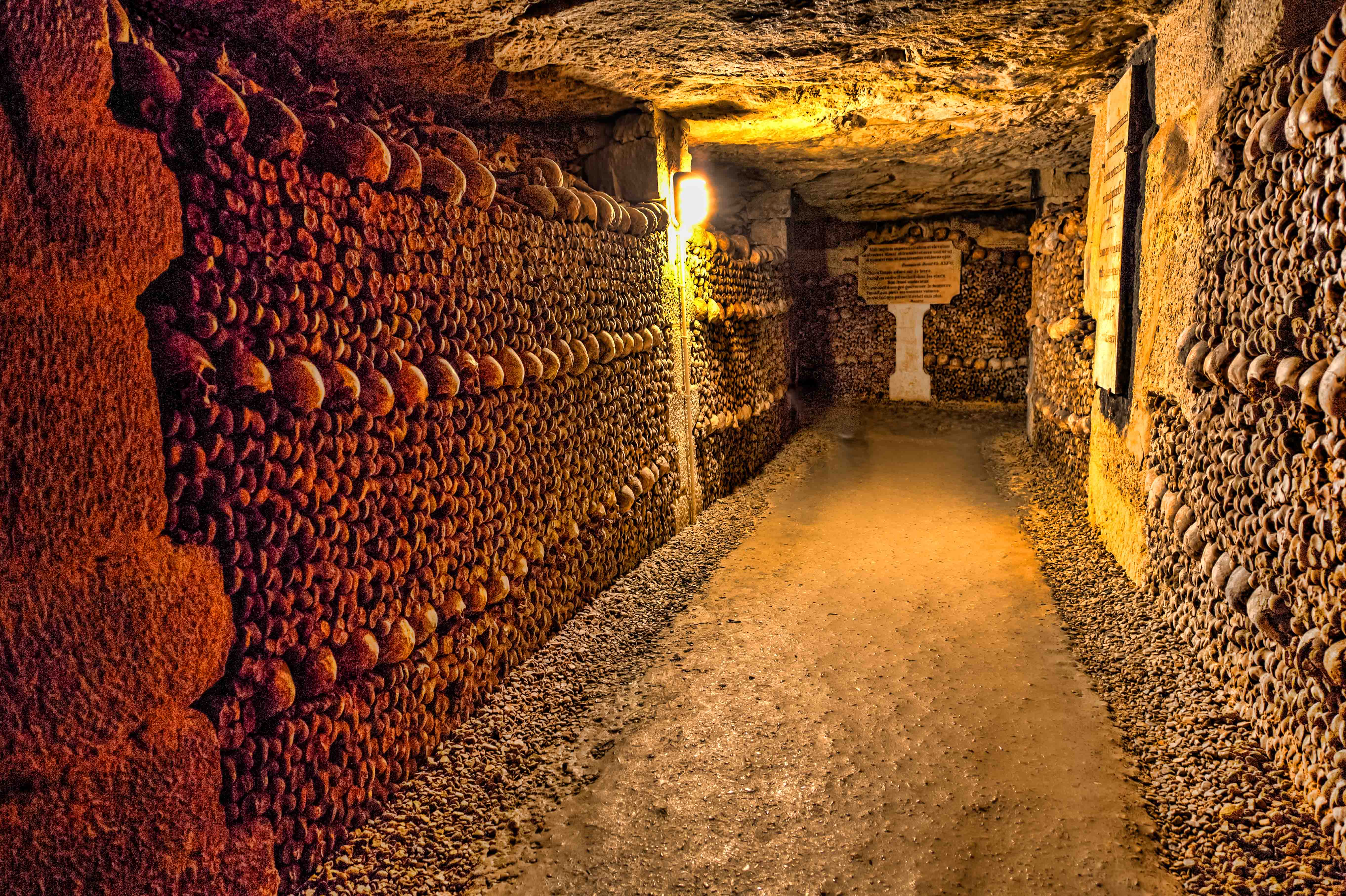 Combo: Catacombs Tickets + Seine River Cruise — gallery 3