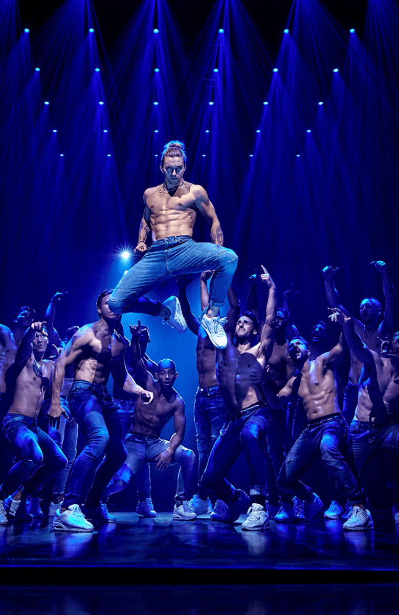 Magic Mike Live Las Vegas — gallery 1