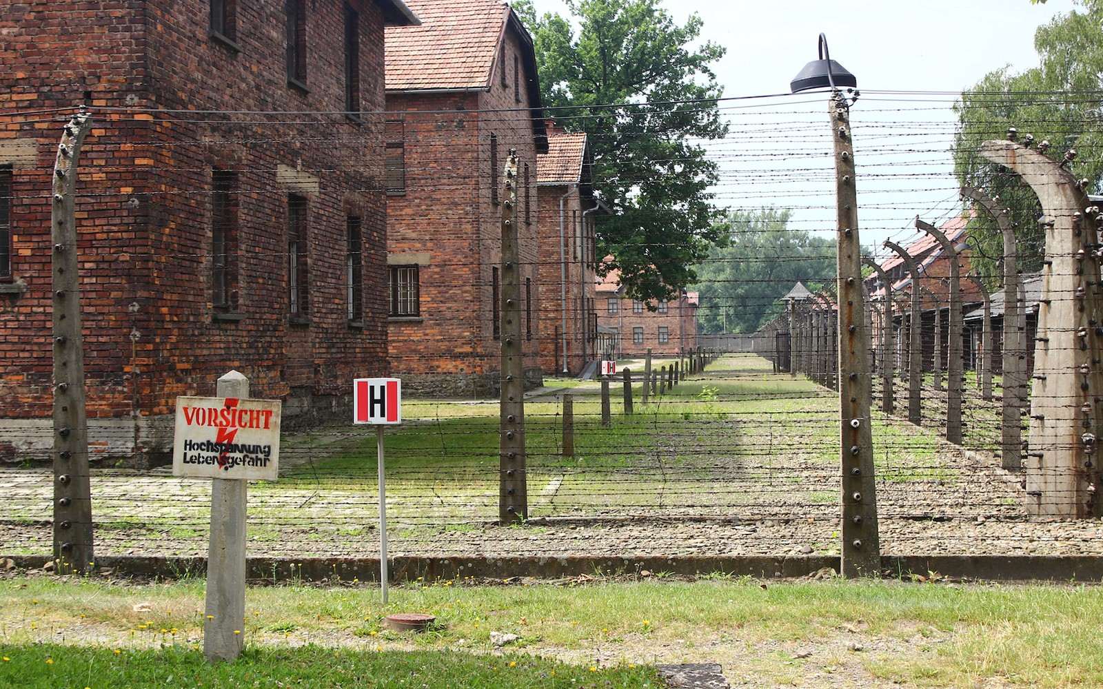 Auschwitz & Birkenau Guided Tour with Transfers & Optional Private Tour — gallery 3