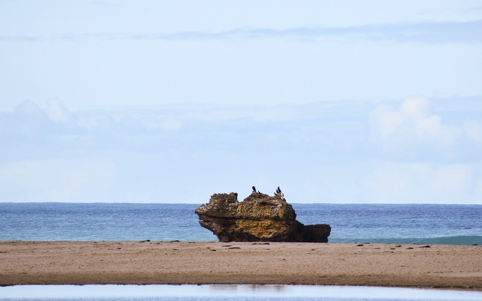 Private Car Tour of Great Ocean Road Including the 12 Apostles from Melbourne — gallery 1