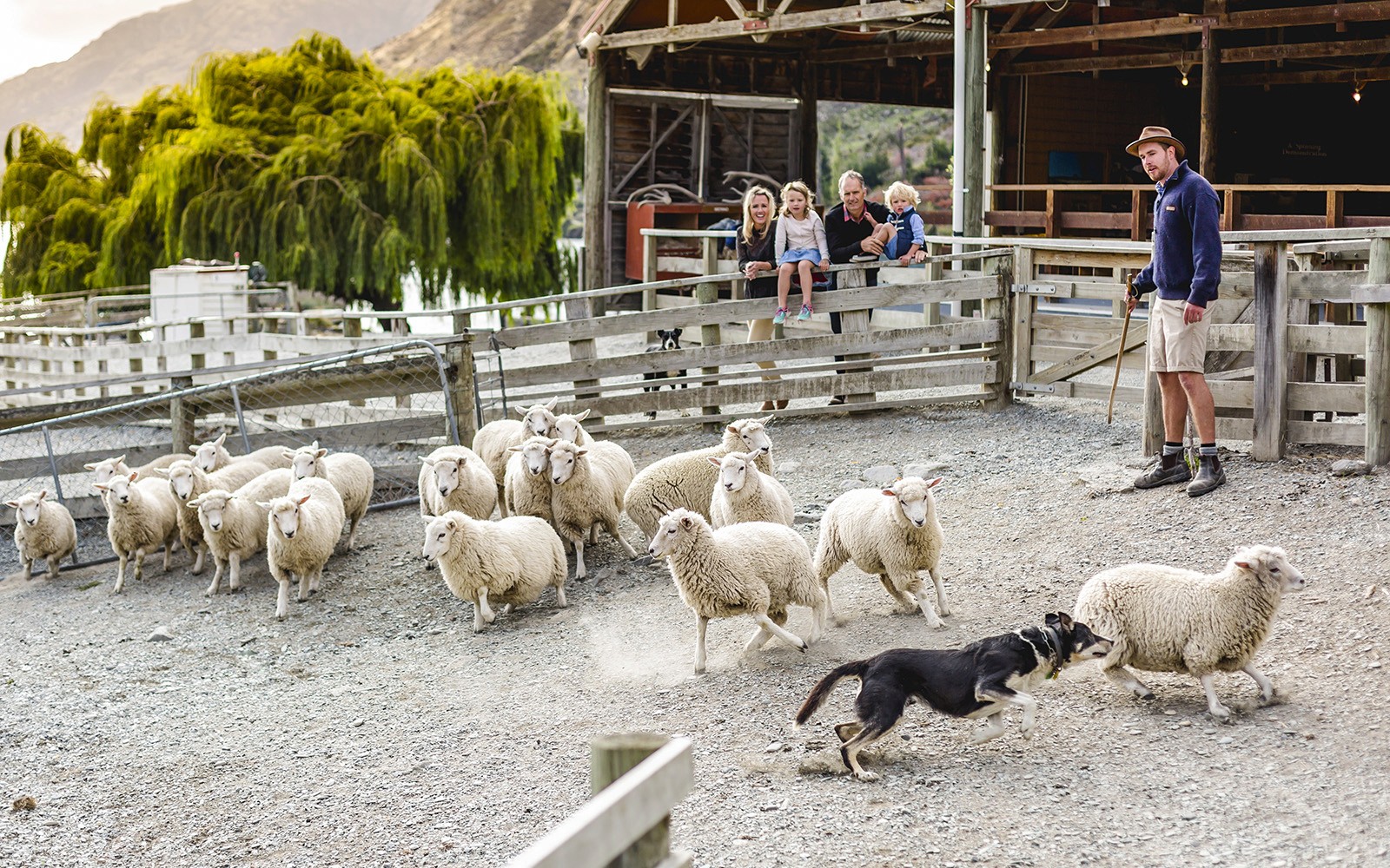 From Queenstown: TSS Earnslaw/Spirit of Queenstown Cruise with Gourmet BBQ Experience