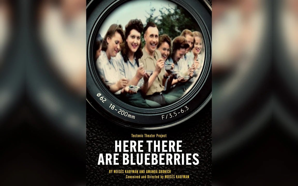 Here There Are Blueberries key art