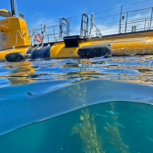Los Angeles: Semi-Submarine Excursion from Catalina Island — gallery 2