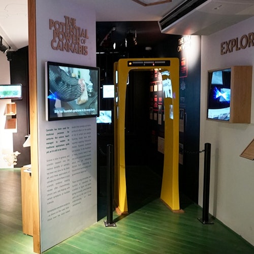 Cannabis Museum Amsterdam: Entry Ticket + Audio Guide — gallery 2
