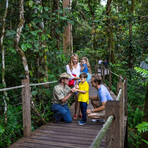 Self-Drive Kuranda Experience: Skyrail Rainforest Cableway & Scenic Rail — gallery 4