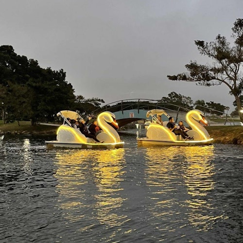 Long Beach: Swan Boat Rental at Rainbow Lagoon — gallery 4