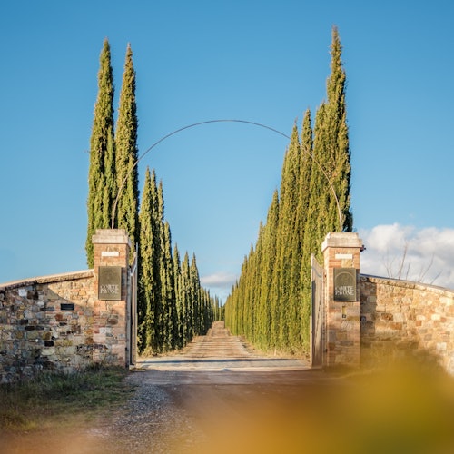 Corte Pavone Winery Estate: Montalcino Wine Tasting + Gourmet Bites