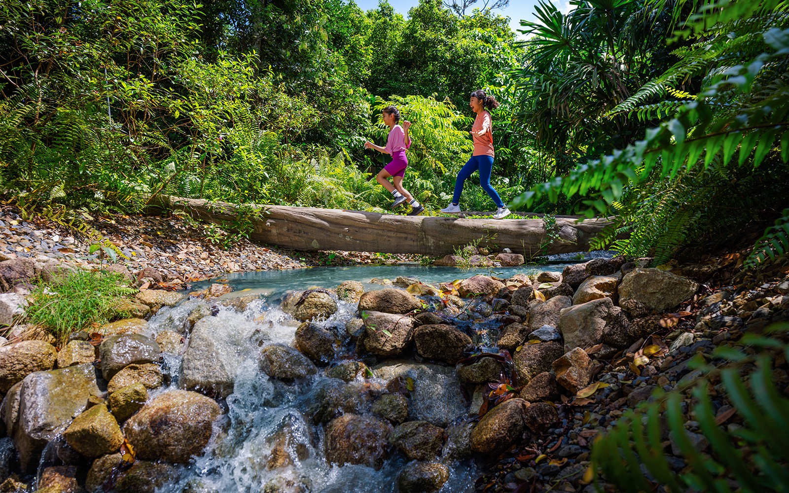 Mandai Wildlife Destination Pass — gallery 5