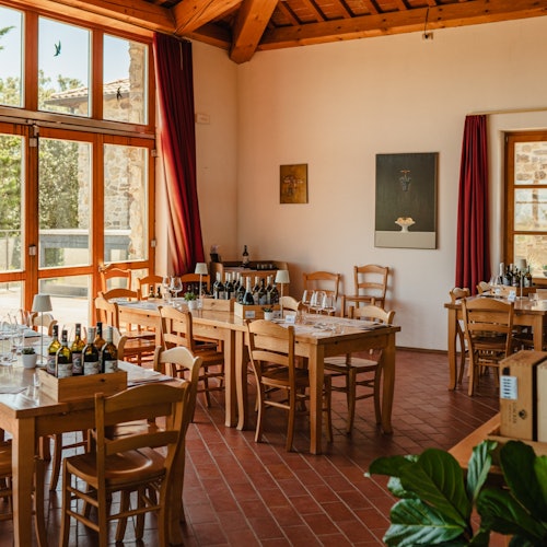 Corte Pavone Winery: Local Wine Tasting With Gourmet Appetizers