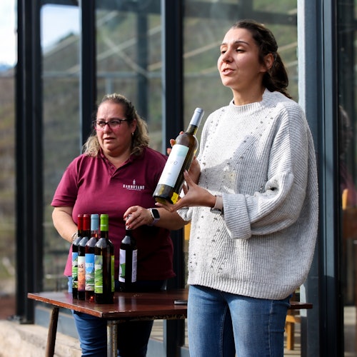 Madeira: Guided 4x4 Jeep Tour + Cabo Girão Skywalk + Wine & Tapas Tasting — gallery 1