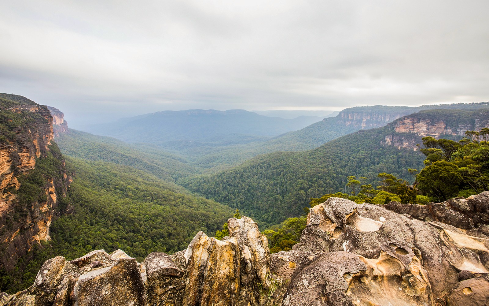 Blue Mountains Adventure Tour: Scenic World, Sydney Zoo, Koala Photo & Harbour Ferry Return — gallery 3