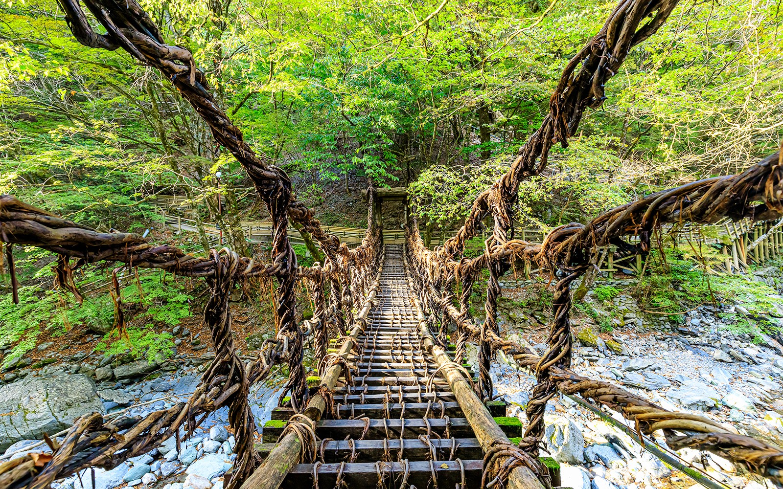 JR All Shikoku Rail Pass — gallery 5