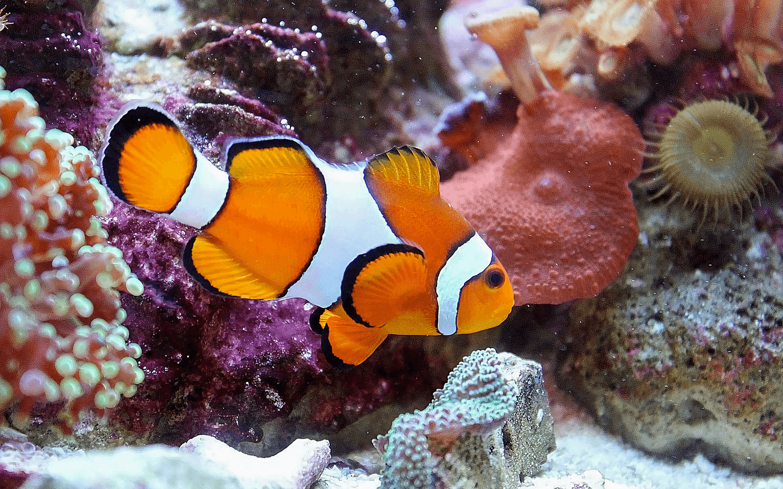 Malta National Aquarium Tickets