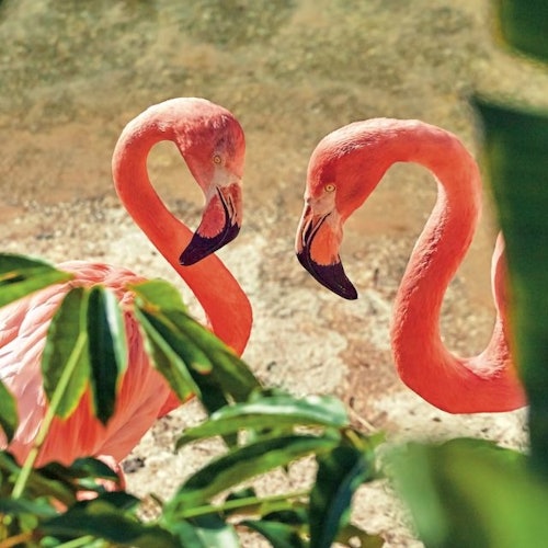 Aqualandia & Mundomar — gallery 2