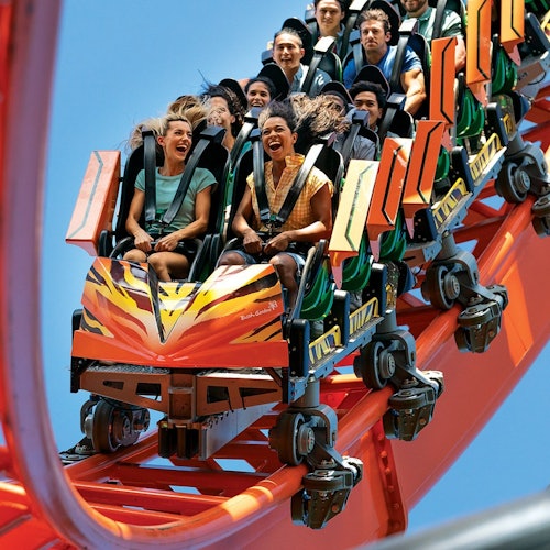 Busch Gardens Tampa: Entry Ticket with Optional Quick Queue — gallery 2