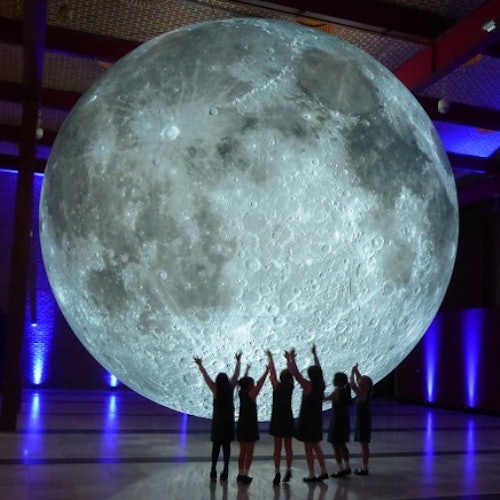 Houston Kid's Choice: Museum Pass — gallery 4