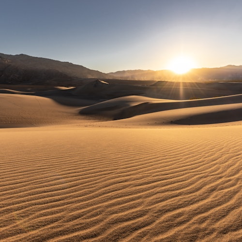Full Day Desert Safari with BBQ Meal