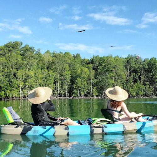 Kilim Geopark: Guided Mangrove Kayak Tour + Lunch — gallery 4