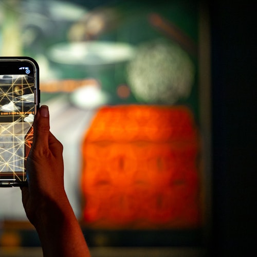 The Dalí Museum: Gallery Admission Ticket