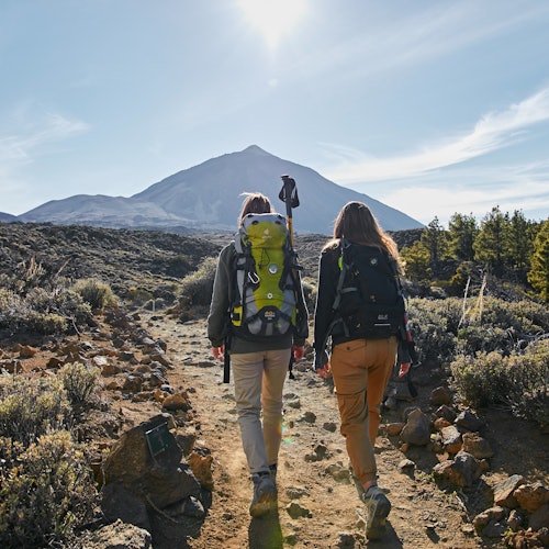 Mount Teide: Guided Tour, Summit Hike + Cable Car — gallery 2