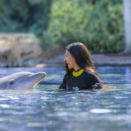 Discovery Cove: Entry Ticket