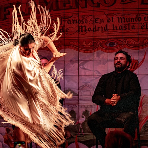 Flamenco de Leones