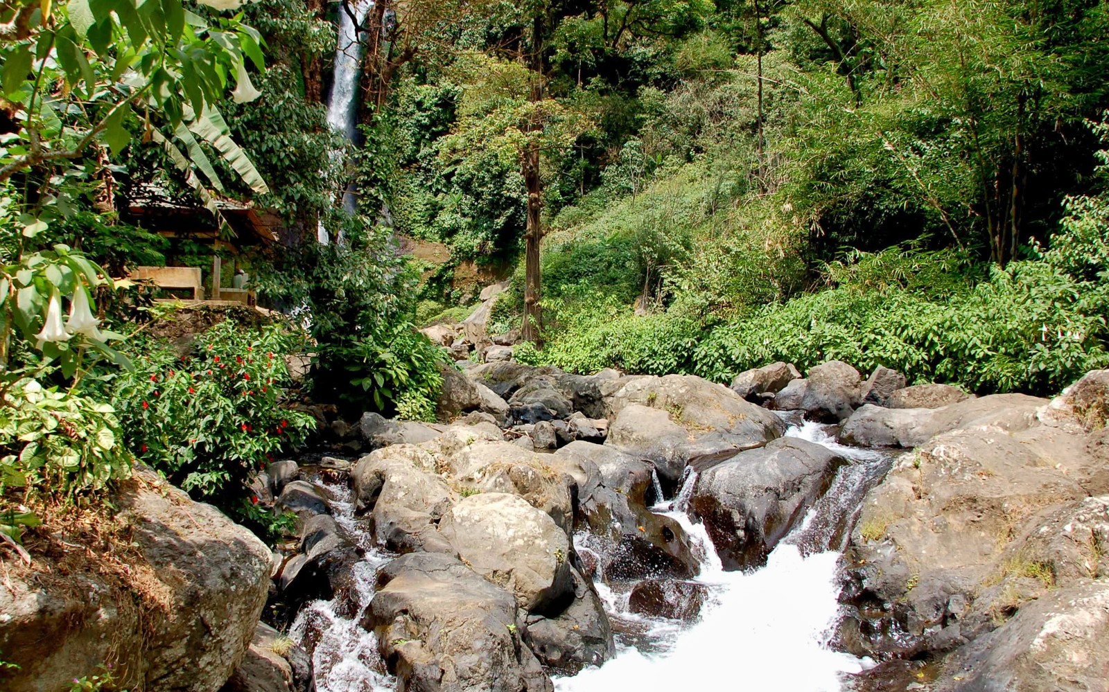 Sekumpul Waterfall & Temple Small-Group Tour: Ulun Danu Bratan, Taman Ayun Temple