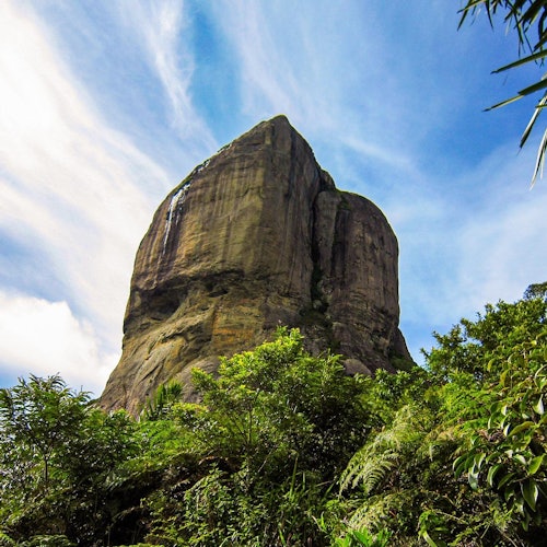 Rio de Janeiro: Gavea Rock Guided Hiking Tour + Transfer — gallery 2