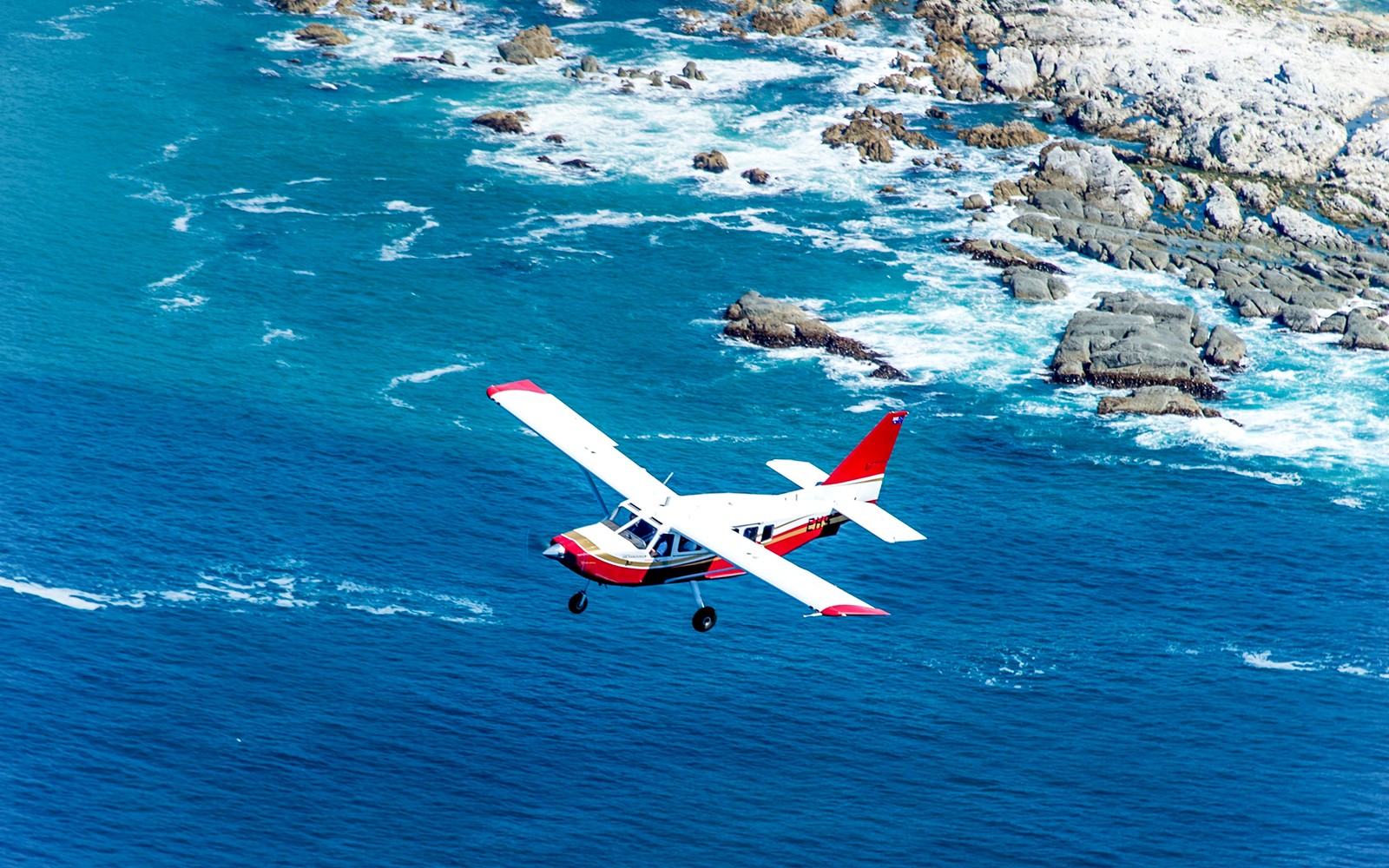 Kaikoura 40-Min Whale Watching Flight with Window Seat — gallery 1