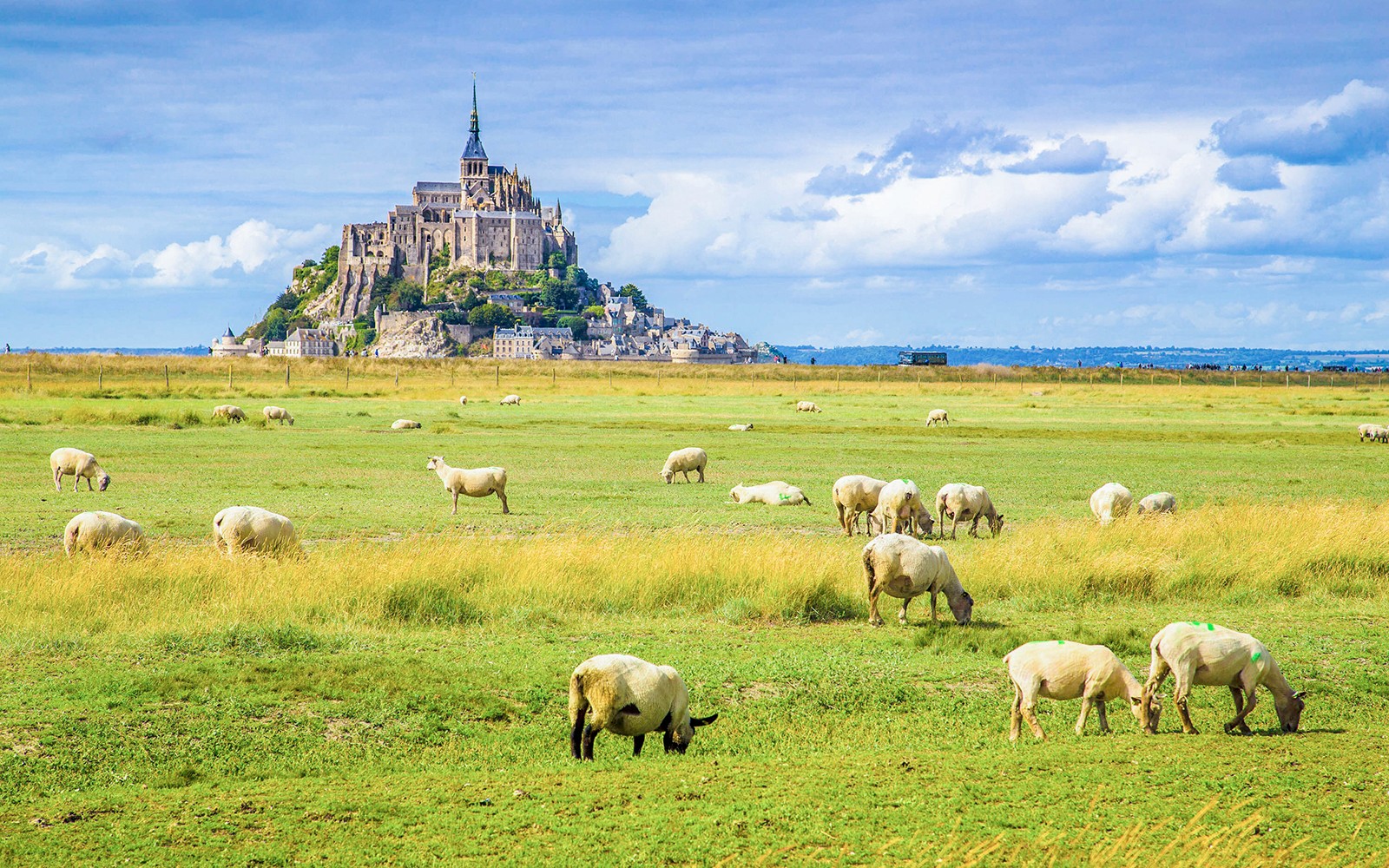 Mont Saint-Michel Audio Guide Tour