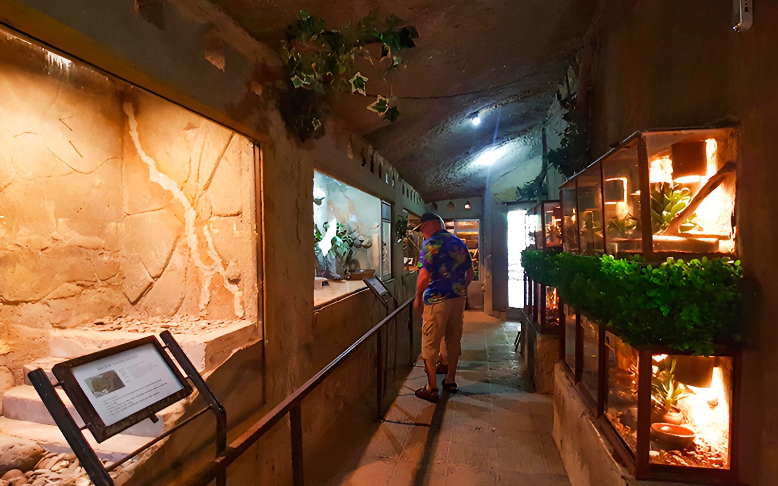Bali Reptile Park Tickets